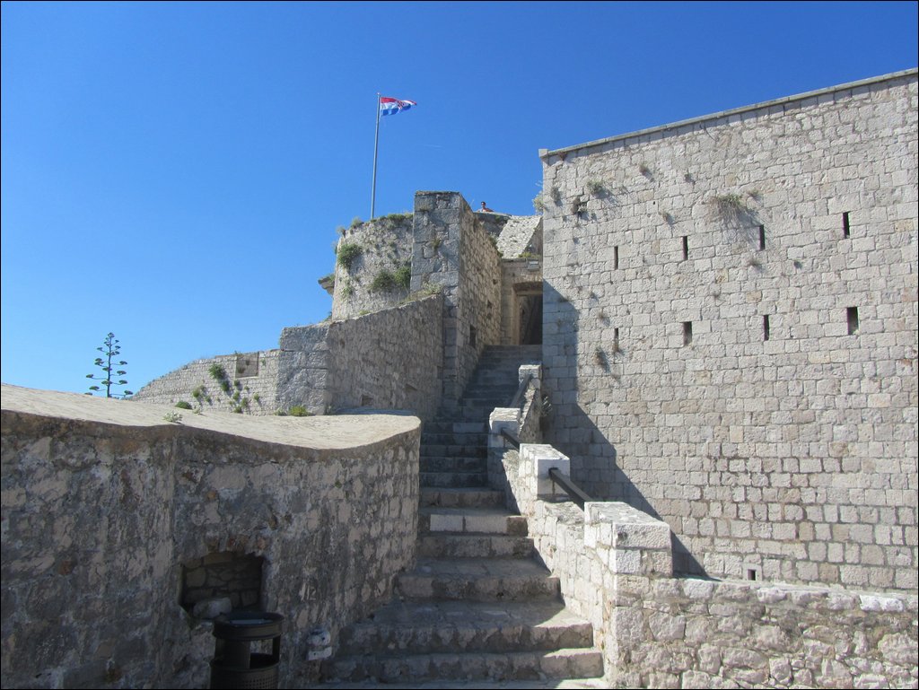 IMG_9906.JPG