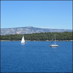 IMG_9819.JPG