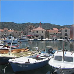 IMG_9823.JPG
