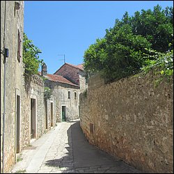 IMG_9834.JPG