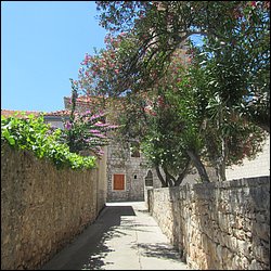 IMG_9835.JPG
