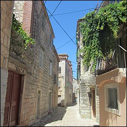 IMG_9839.JPG
