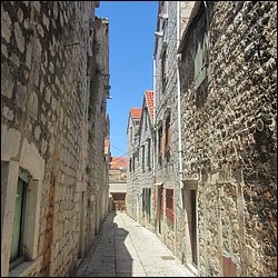 IMG_9843.JPG