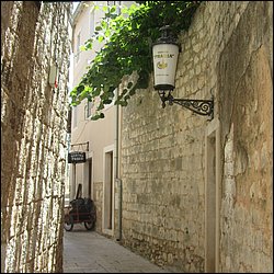 IMG_9845.JPG