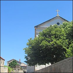 IMG_9858.JPG