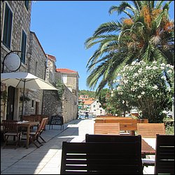IMG_9862.JPG