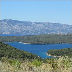 IMG_9863.JPG