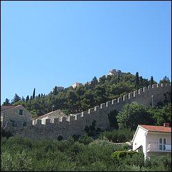 IMG_9866.JPG