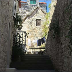 IMG_9869.JPG