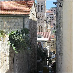 IMG_9870.JPG