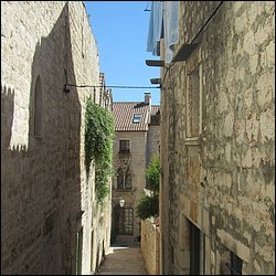 IMG_9871.JPG