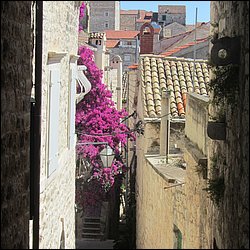 IMG_9874.JPG