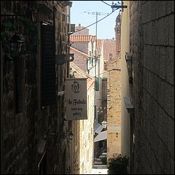 IMG_9875.JPG
