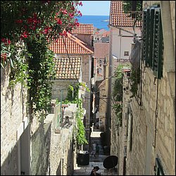 IMG_9877.JPG