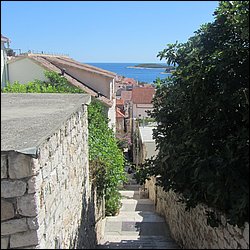 IMG_9878.JPG