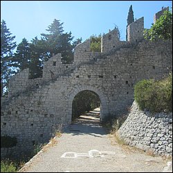 IMG_9880.JPG