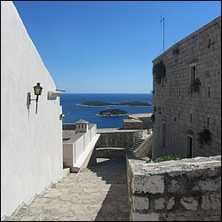 IMG_9885.JPG