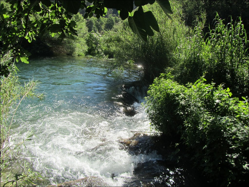 IMG_9057.JPG