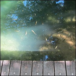 IMG_9039.JPG