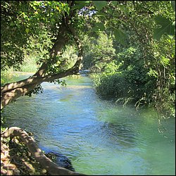 IMG_9047.JPG
