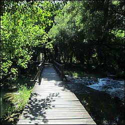 IMG_9048.JPG