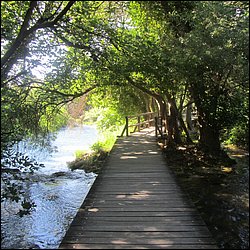 IMG_9050.JPG