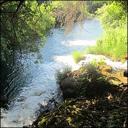 IMG_9051.JPG
