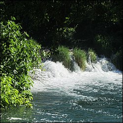 IMG_9054.JPG