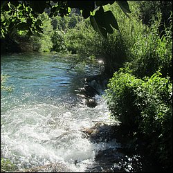 IMG_9057.JPG