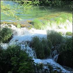 IMG_9059.JPG