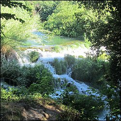 IMG_9060.JPG