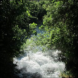IMG_9062.JPG