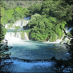 IMG_9081.JPG