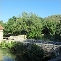 IMG_9090.JPG