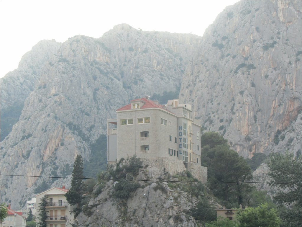 IMG_9429.JPG