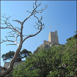 IMG_9395.JPG