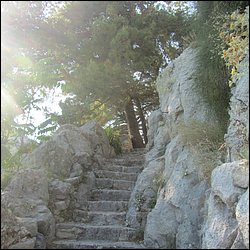 IMG_9398.JPG