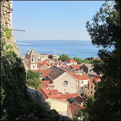 IMG_9404.JPG