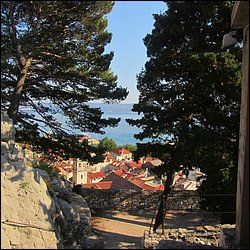 IMG_9420.JPG