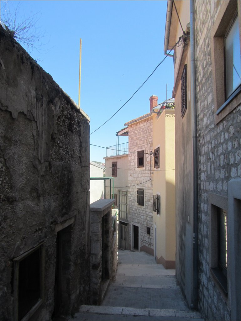 IMG_9016.JPG