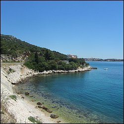 IMG_8935.JPG