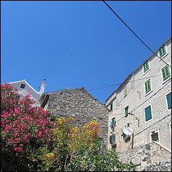 IMG_8975.JPG