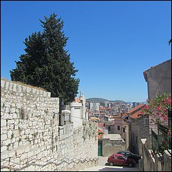 IMG_8986.JPG