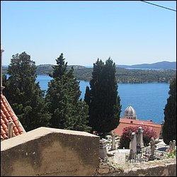 IMG_8992.JPG
