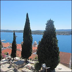 IMG_8994.JPG