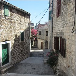 IMG_9019.JPG