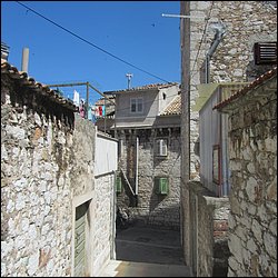 IMG_9021.JPG