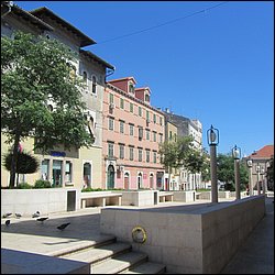 IMG_9024.JPG