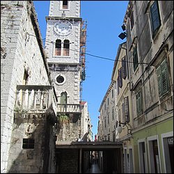 IMG_9031.JPG