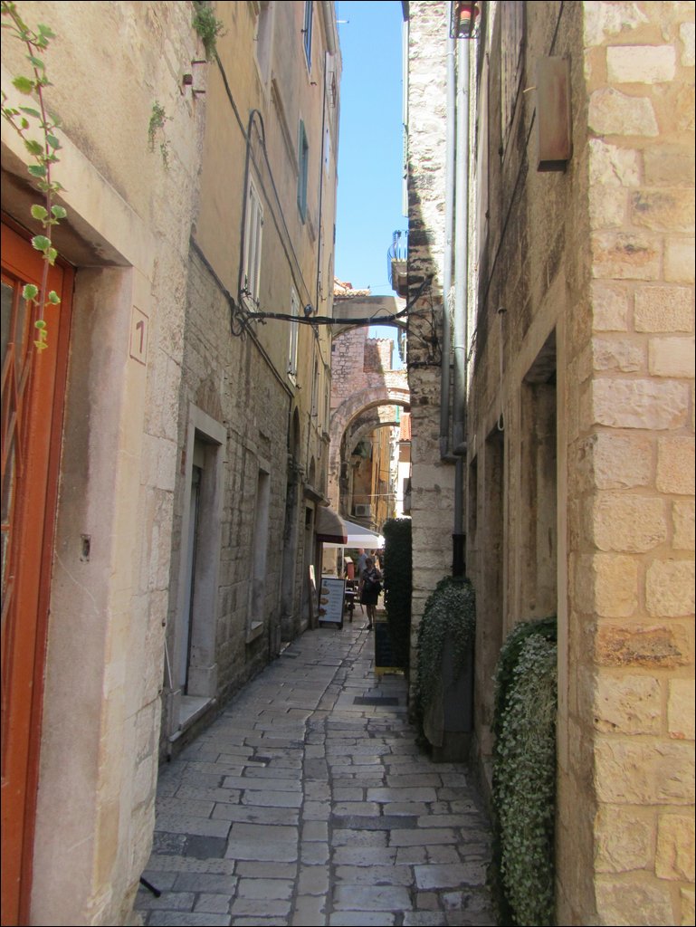 IMG_8886.JPG